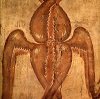 kotocitus